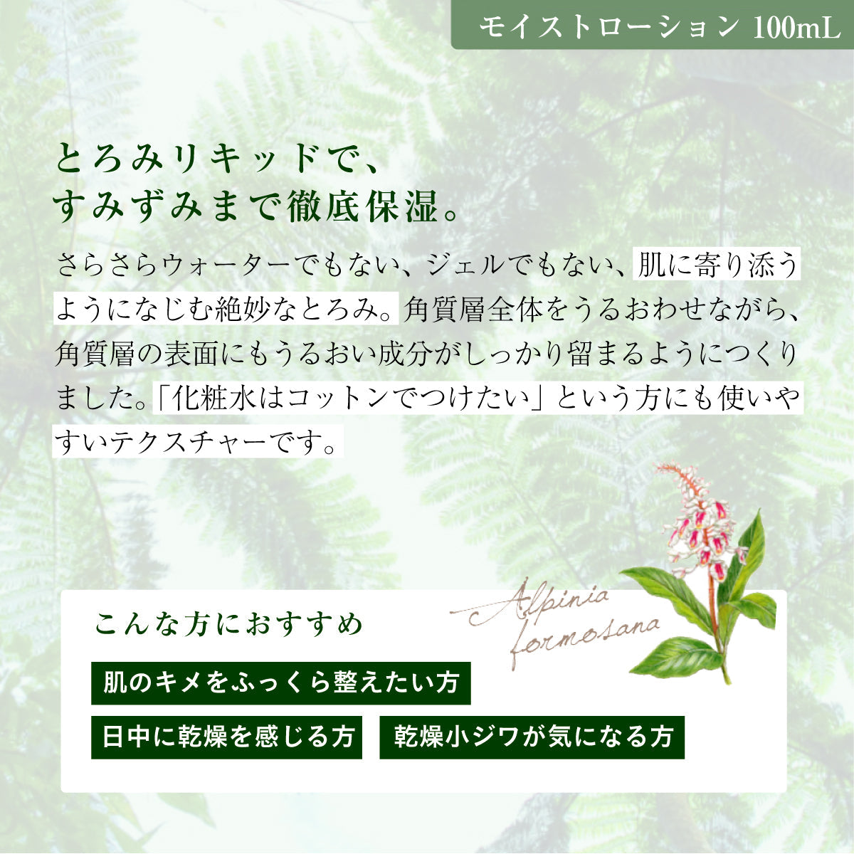 アルファピニ 28 モイストローション 100mL