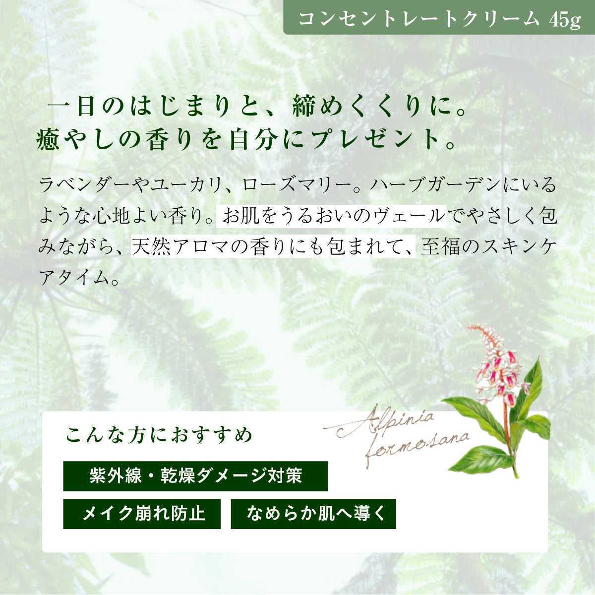 アルファピニ 28 コンセントレートクリーム 45g