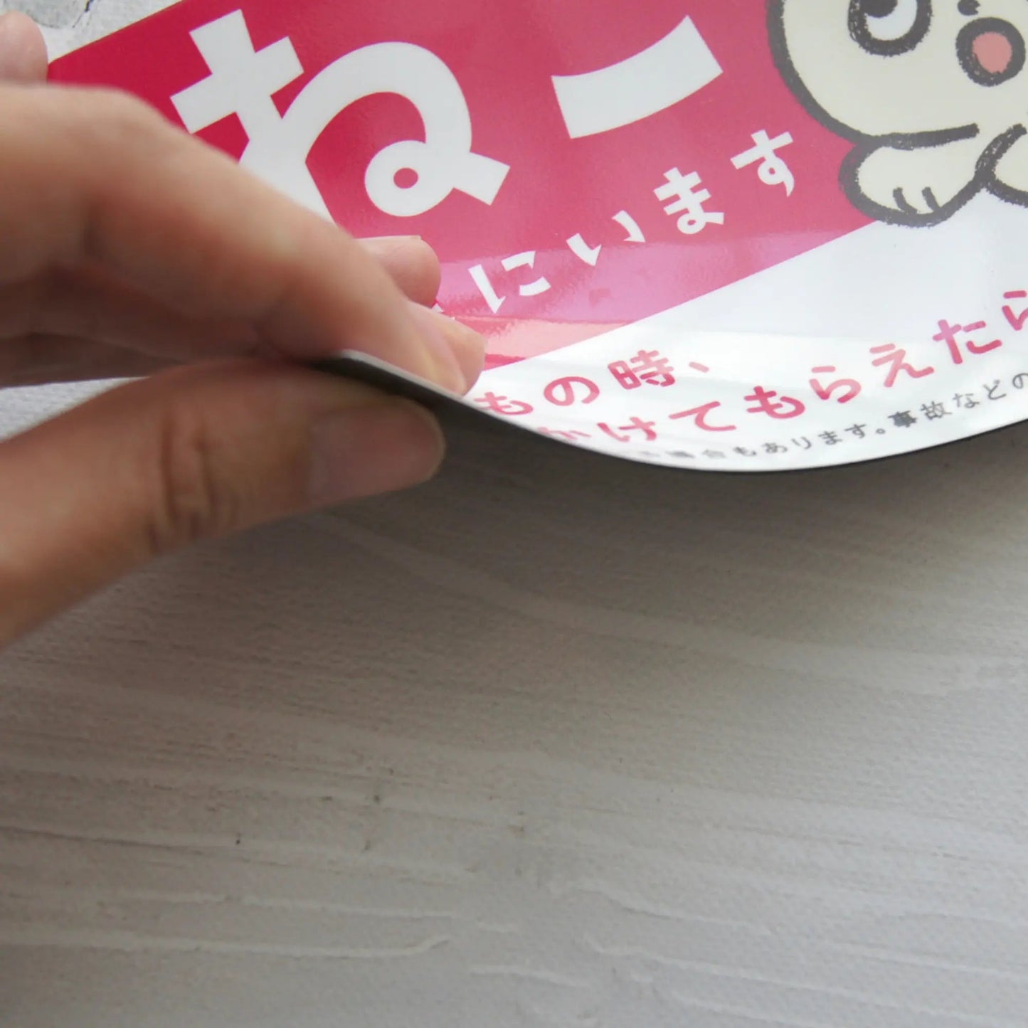 車用マグネット｜ねこが家にいます（ペット防災カーサイン）