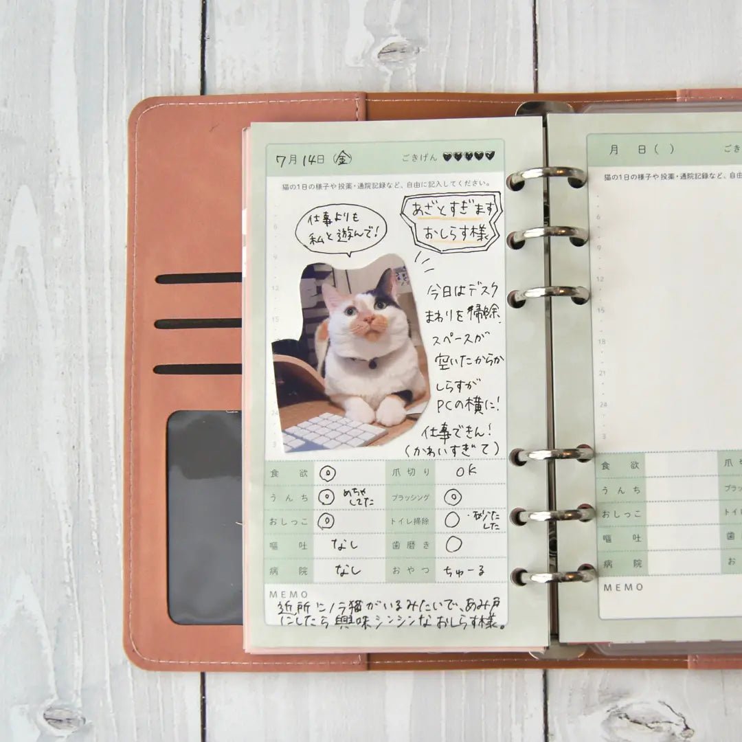 Cat Help Notebook (Binder Style) | All your cat's medical visits and health management in one book | Cat Health Management Notebook