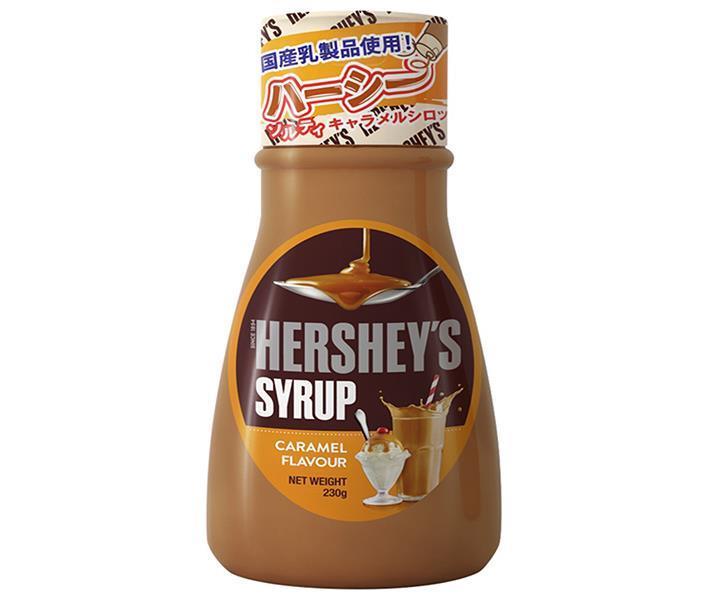 Leadoff Japan Hershey's Caramel Syrup 230g x 24 Bottles [Ships from Japan] 