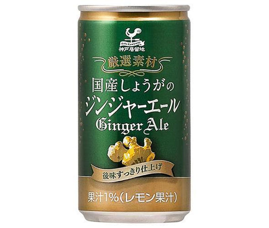 Tominaga Trading Kobe Foreign Settlement Domestic Ginger Ginger Ale 185ml Can x 20 [Ships from Japan] 