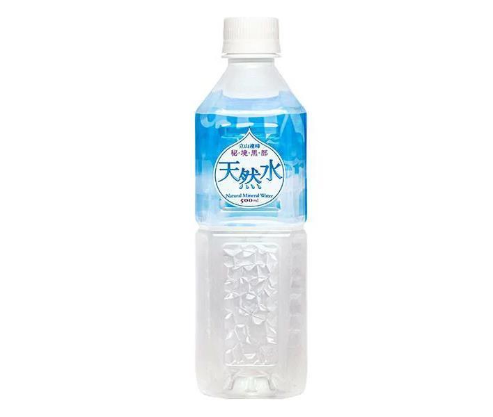 日本薬剤 秘境黒部 天然水 500mlペットボトル×24本入【日本出荷】
