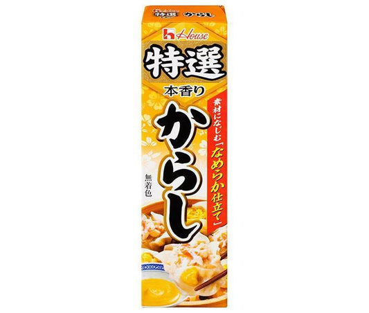 House Foods Specialty Mustard, 42g x 10 sticks [Ships from Japan] 