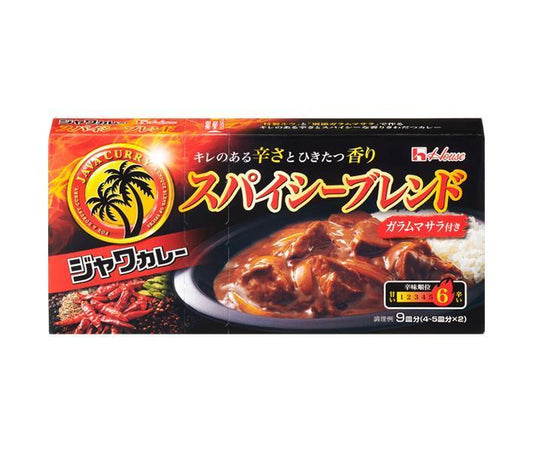 House Foods Java Curry Spicy Blend, 191g x 10 packs [Ships from Japan] 