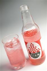 Ante(アンテ) 金沢 砂丘サイダー すいか姫 340ml瓶×24本入【日本出荷】