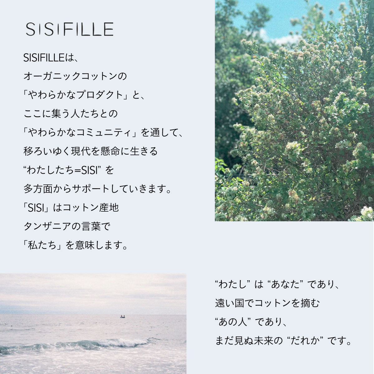 SISI FILLE BRA_TERESA Black 【M】