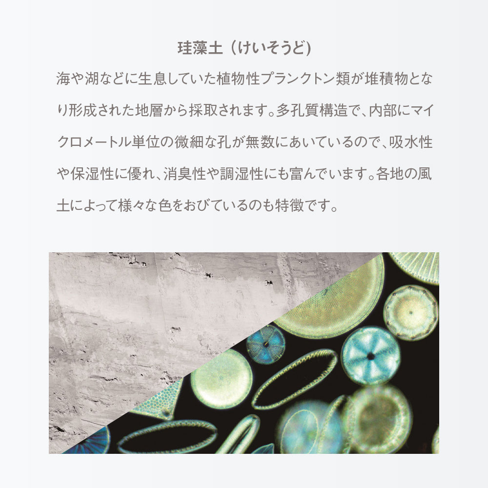 Soil スポンジトレイ(グリーン)