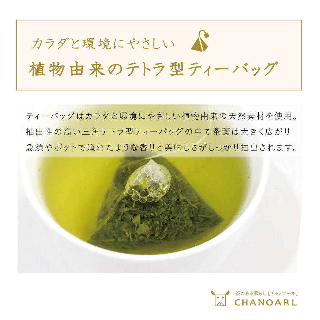 【国産無添加フルーツティー】八女深蒸し茶＆無添加ドライフルーツ｜緑茶ティーバッグと旬の国産果実（砂糖不使用 無香料 添加物不使用）チャノアール