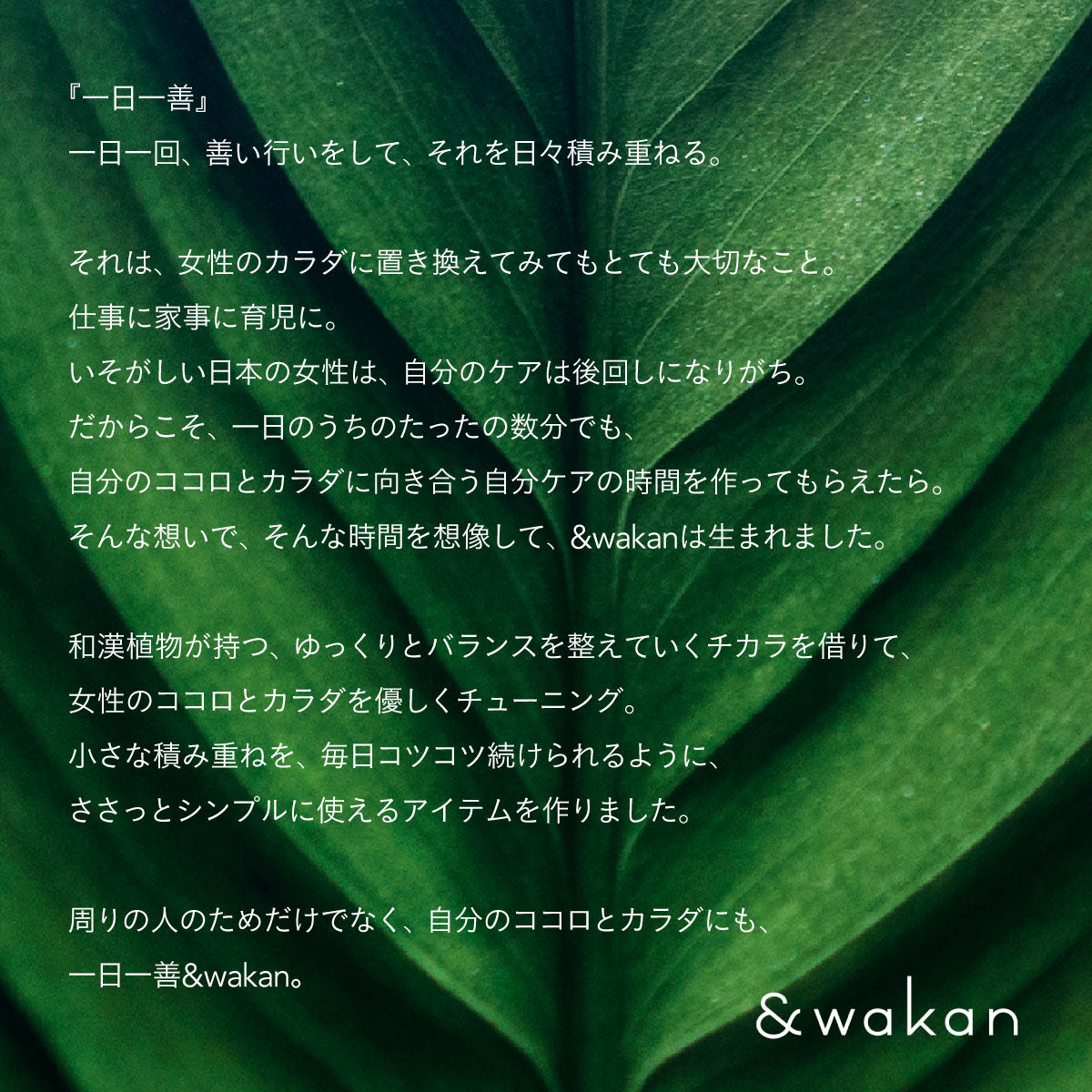 &wakan スカルプエッセンス 50ml GOOD SLEEP