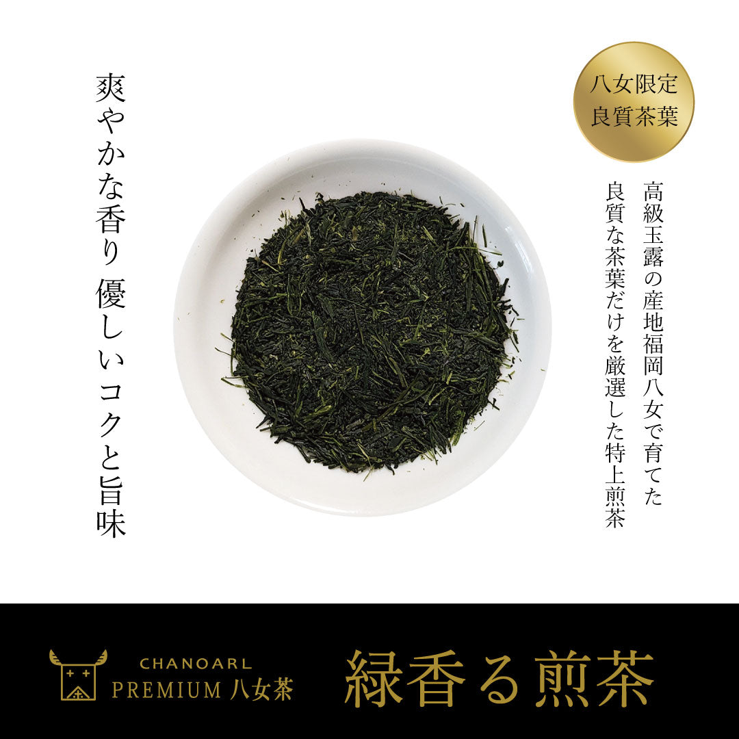 CHANOARL プレミアム八女茶「緑香る煎茶」ティーバッグ