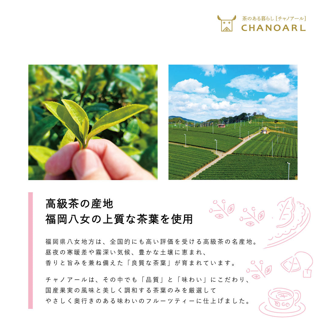 【国産無添加フルーツティー】八女深蒸し茶＆無添加ドライフルーツ｜緑茶ティーバッグと旬の国産果実（砂糖不使用 無香料 添加物不使用）チャノアール